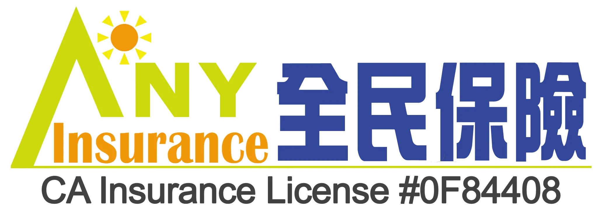 Any Insurance logo